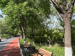 -大兴滨河森林公园