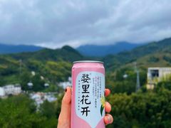 -篁岭景区