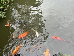 -成都杜甫草堂博物馆