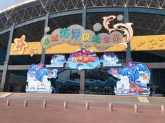 -泉城欧乐堡海洋极地世界