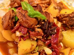 -巴依老爷新疆美食(常营店)