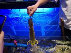 -功夫汤粤港餐厅(锦业路店)