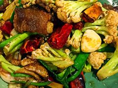 -小吊梨汤·北京菜·烤鸭(鸟巢店)