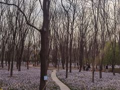 -将府公园