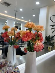 -HaLo hair studio