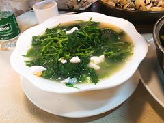 -张记旺角食街(动物园店)