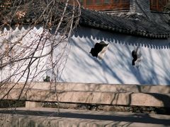 -水绘园