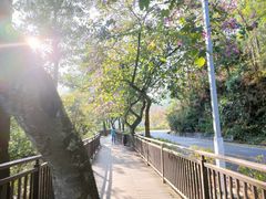 -红花湖景区