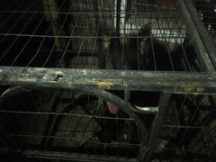 -萨拉漫饮食(北京中路店)