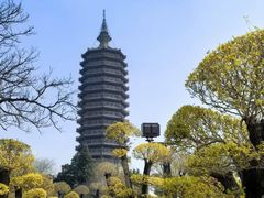 -西海子公园
