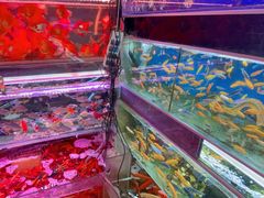 -双季花艺园艺市场(浦东店)