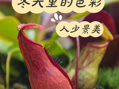 -国家植物园南园