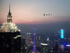 -上海柏悦酒店