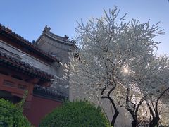 -雍和宫(地铁站)