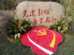 -昆山城市生态森林公园