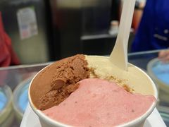 -Dip in Gelato(富民路店)