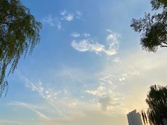 -迎泽公园