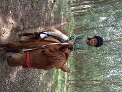 静安马场-沈阳静安马场