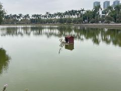 -顺德职业技术大学