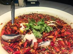 -许家菜(DT51店)