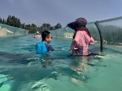 -秦皇岛乐岛海洋王国