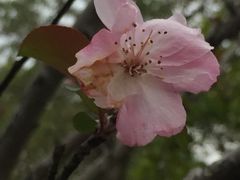 -苏州清山会议中心