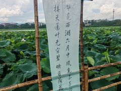 -西双版纳傣族园