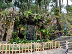 -深圳仙湖植物园