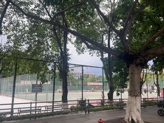 -德阳体育公园(旌阳街道)