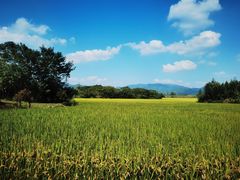 -良渚古城遗址公园