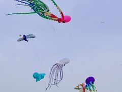 -潍坊滨海云门国际风筝放飞场