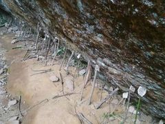 -武夷山风景名胜区-虎啸岩