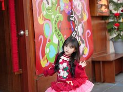 -溪岸路花鸟市场