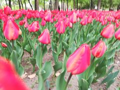 -长春公园(普阳街道)