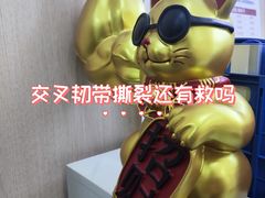 -体博士·疼痛调理·体态矫正·运动康复中心(大望路华贸店)