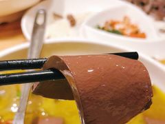 -兔行天下-鸿鹤鲜锅兔(中海国际店)