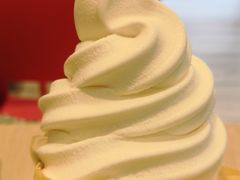 豆浆霜淇淋-永和大王(浦东南路店)