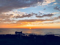 -Cafe Aewol Monsant