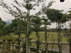 -瑞穗牧场