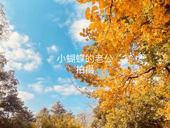 -八大关景区