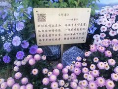 -广州文化公园