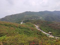 -大围山国家森林公园