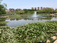 -前关湿地公园