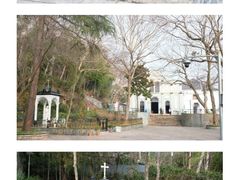 -上海佘山国家森林公园西佘山园