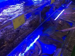 -新海渔港·胶东海鲜家常菜·家宴(奥体中心店)