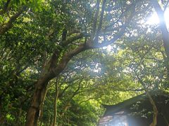 -普陀山风景区-佛顶山