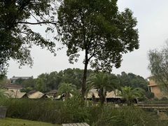 -咸宁万豪温泉谷度假区