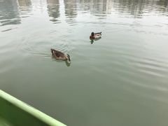-大宁灵石公园西门票处