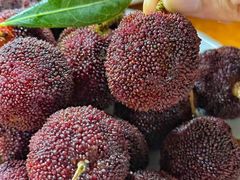 -温州一家人美食(西木头市店)