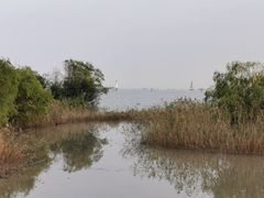 -上海吴淞炮台湾国家湿地公园